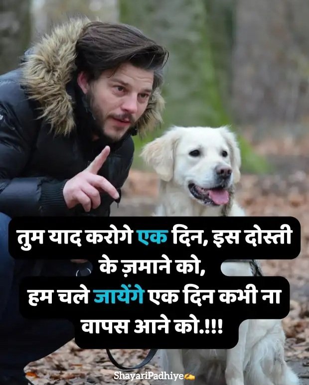 Dosti shayari Dosti shayari