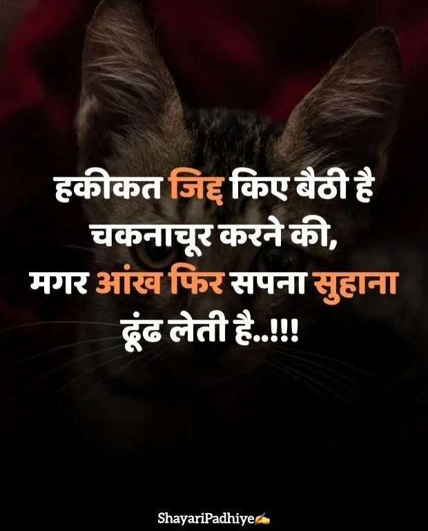 alone shayari alone shayari