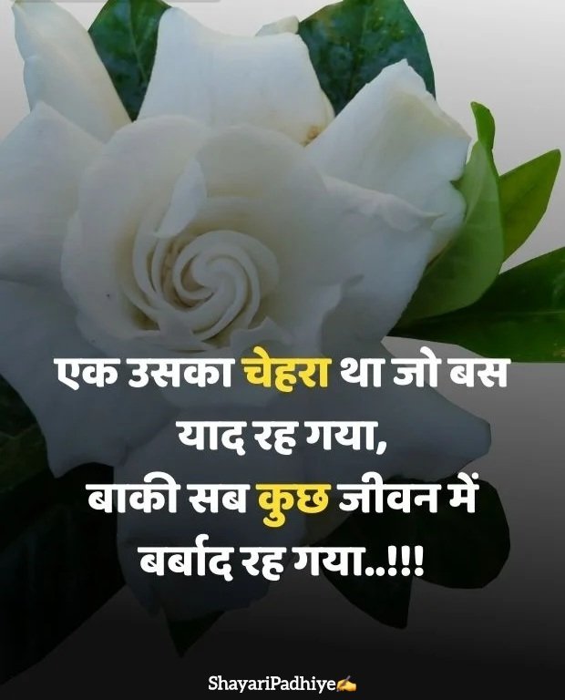 miss you shayari miss you shayari