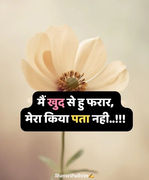 miss you shayari miss you shayari