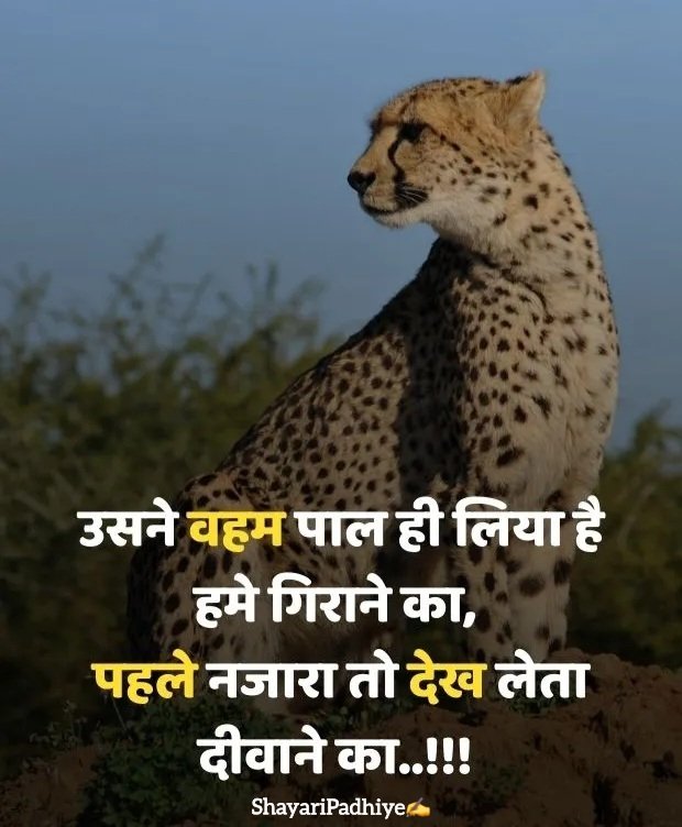 sudhri to meri aadate shayari sudhri to meri aadate shayari